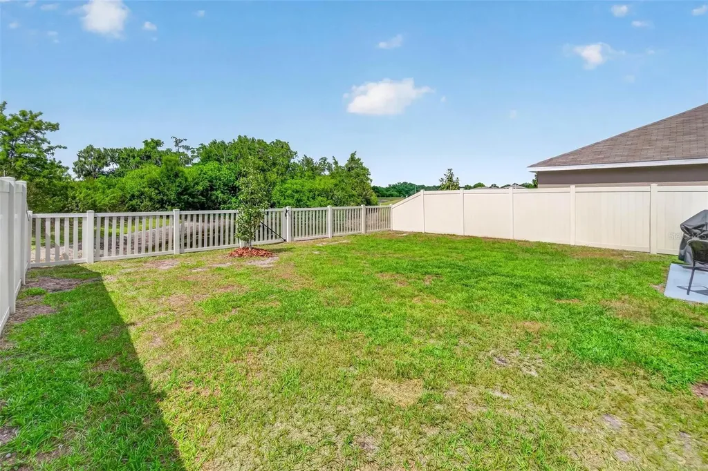 11465 Stone Pine Street Riverview FL 33569