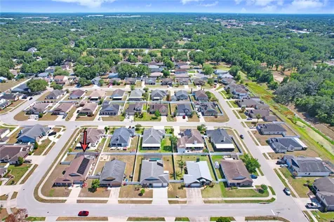 1209 Spotted Lilac Lane Plant City FL 33563