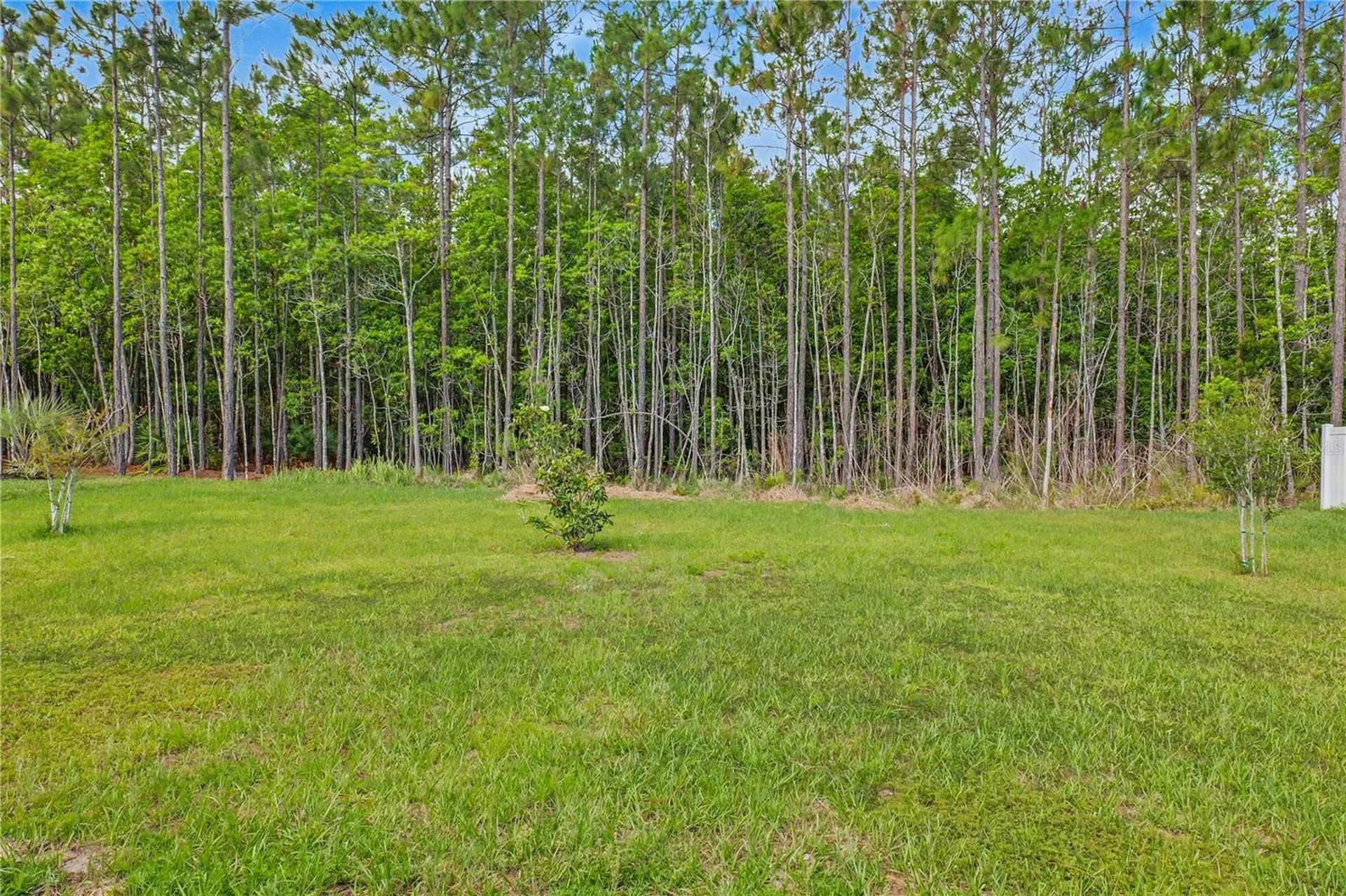 6 Zinnia Court Palm Coast FL 32164