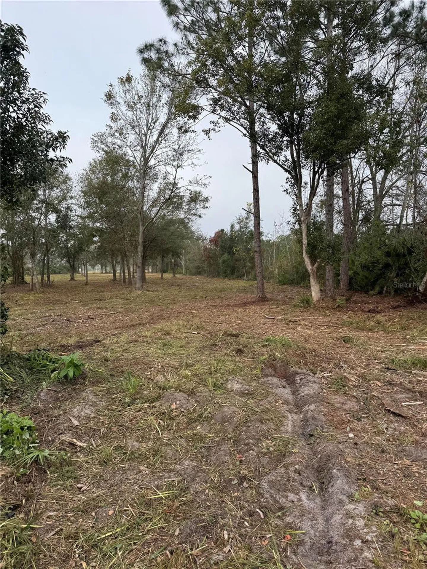 0 West Frostproof Road Frostproof FL 33843