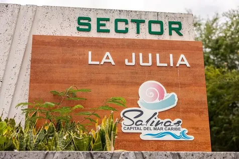 706 Street Sectot La Julia Salinas PR 00751
