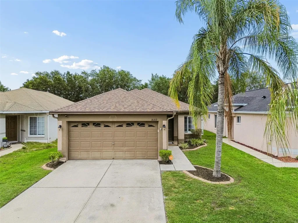 31217 Tagus Loop Wesley Chapel FL 33545