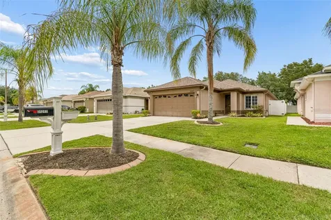 31217 Tagus Loop Wesley Chapel FL 33545