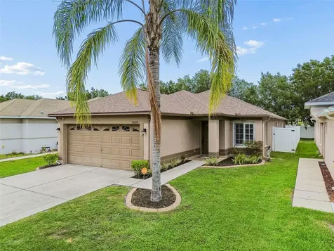 31217 Tagus Loop Wesley Chapel FL 33545
