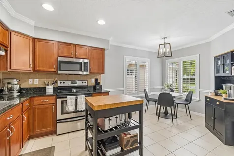 31217 Tagus Loop Wesley Chapel FL 33545