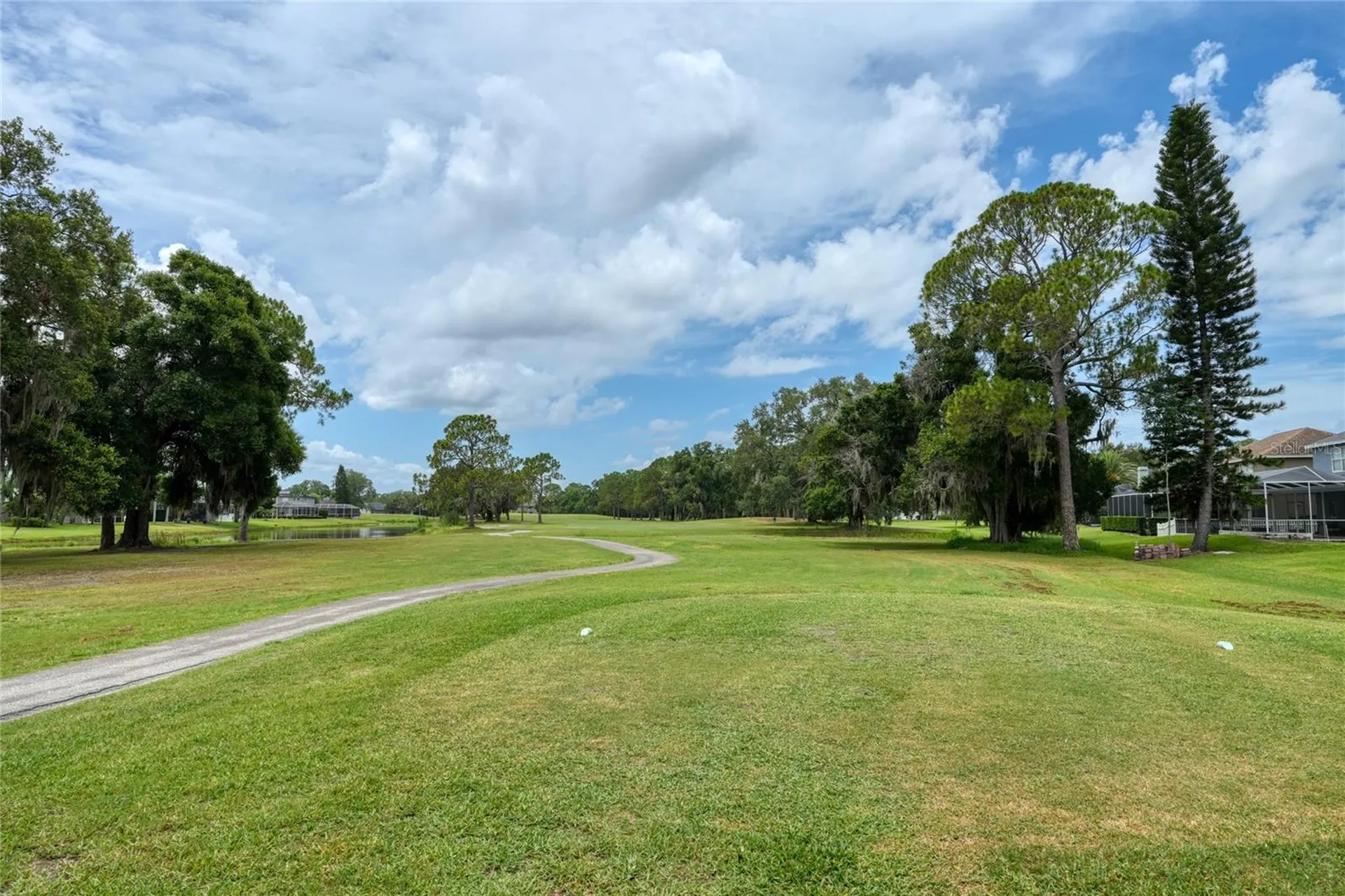 16215 Hoylake Drive Odessa FL 33556