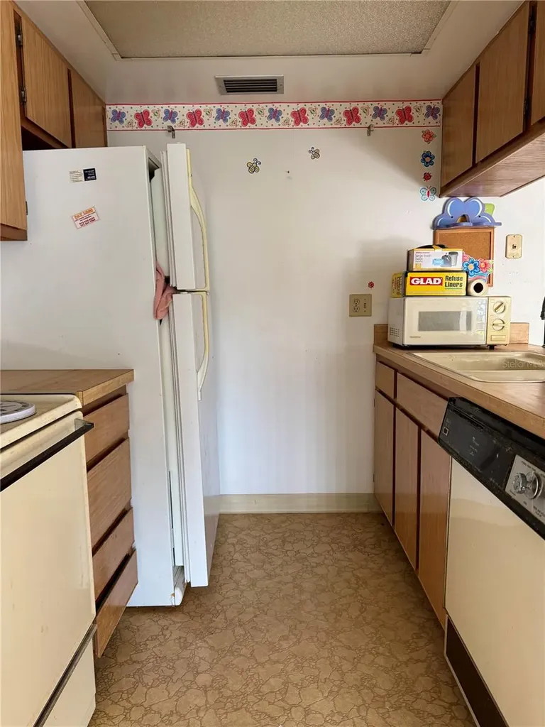 3804 N Oak Drive Tampa FL 33611