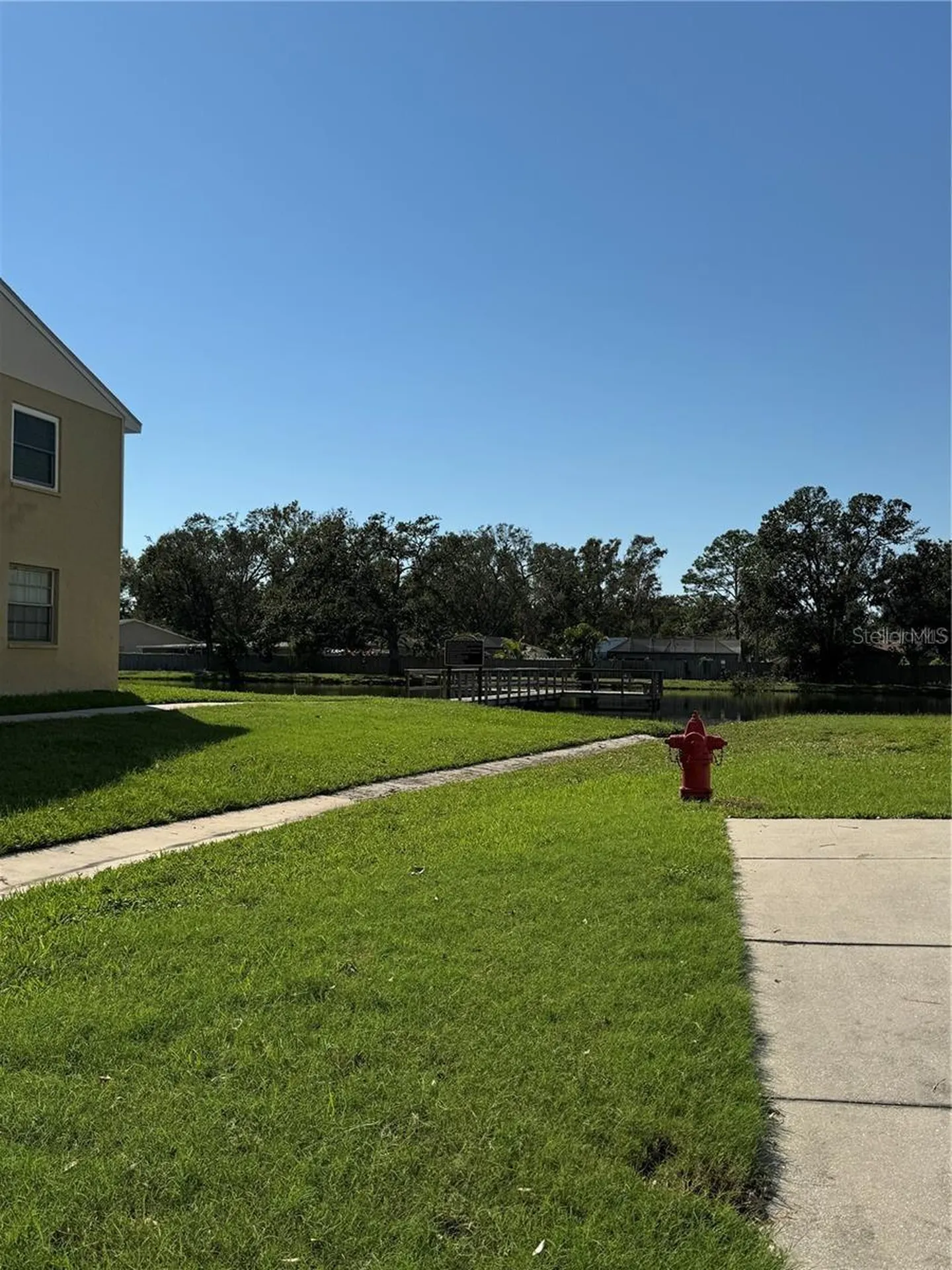 3804 N Oak Drive Tampa FL 33611