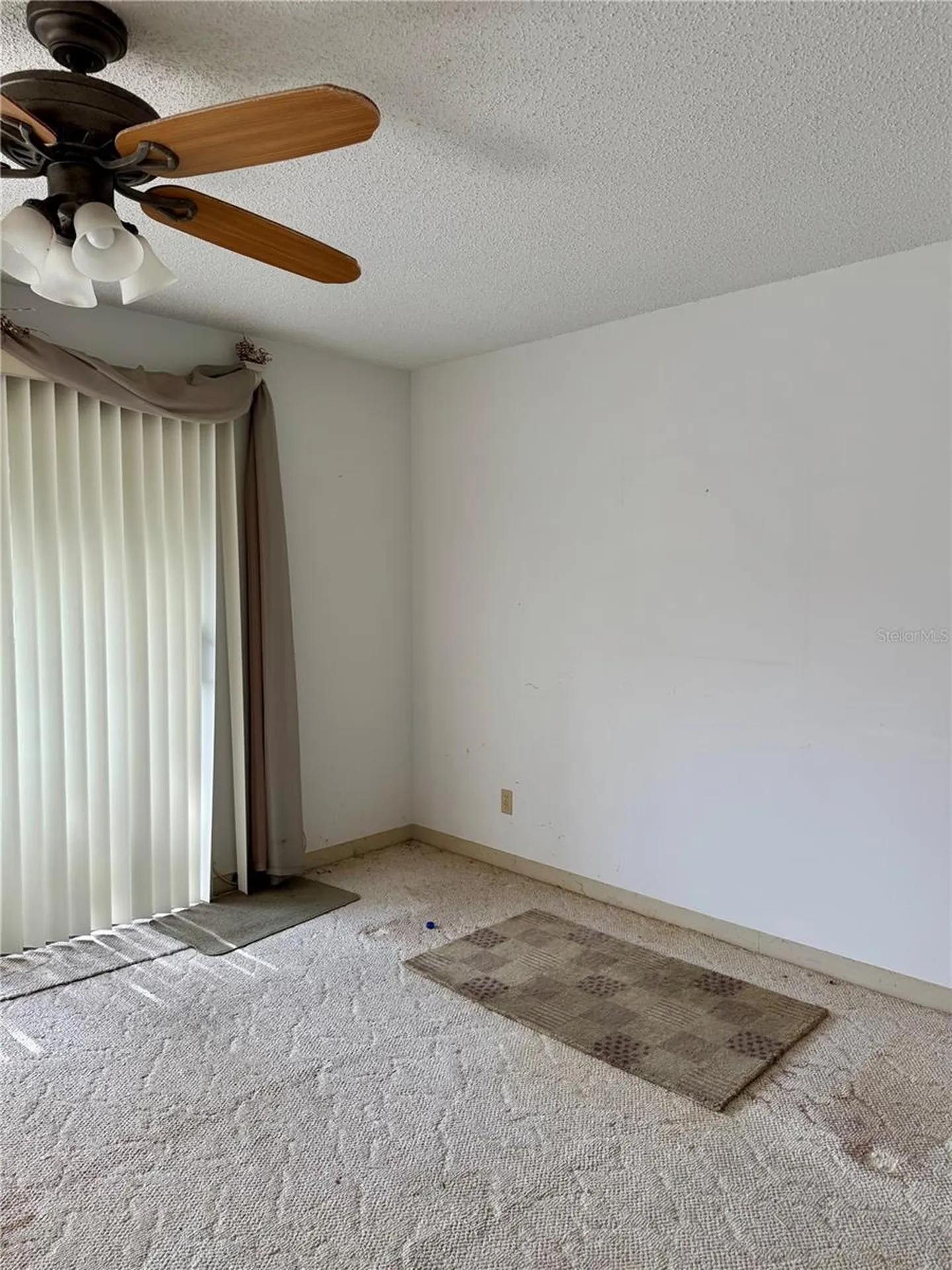 3804 N Oak Drive Tampa FL 33611