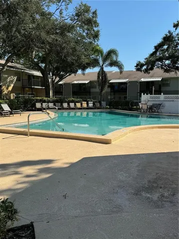 3804 N Oak Drive Tampa FL 33611