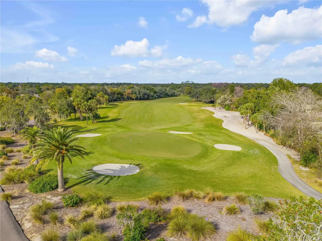 315 Eagles Eye Court New Smyrna Beach FL 32168