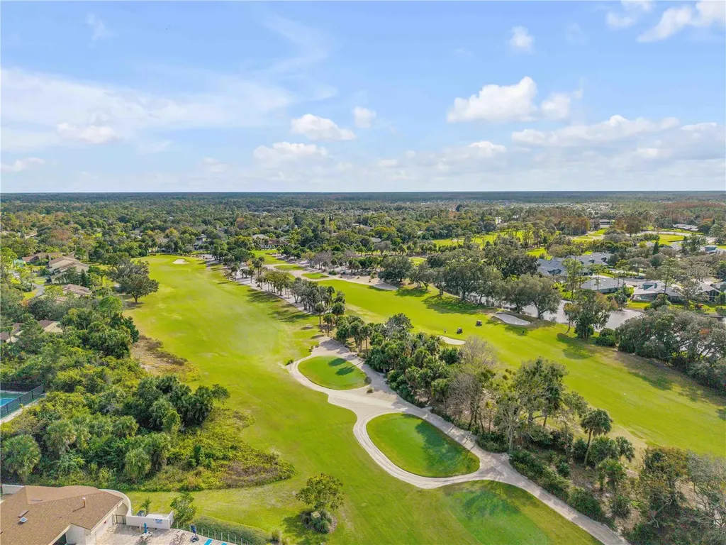315 Eagles Eye Court New Smyrna Beach FL 32168