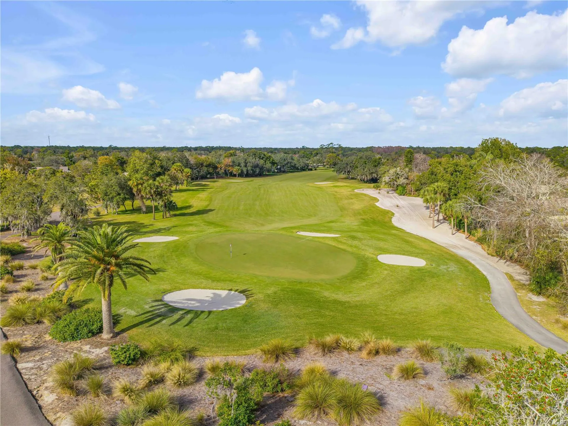 315 Eagles Eye Court New Smyrna Beach FL 32168
