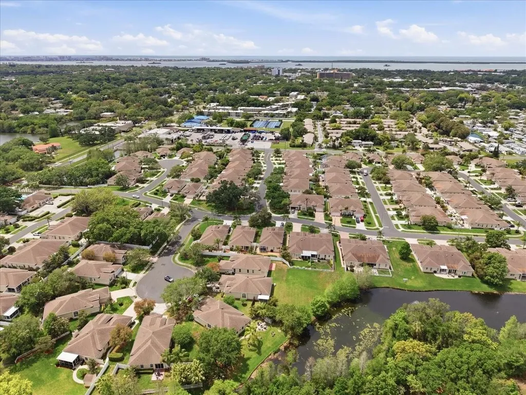 1154 Sarah Court Dunedin FL 34698