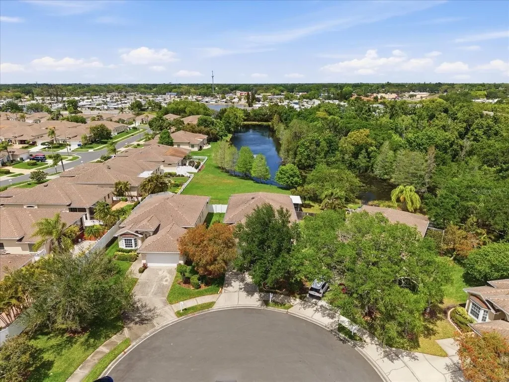 1154 Sarah Court Dunedin FL 34698