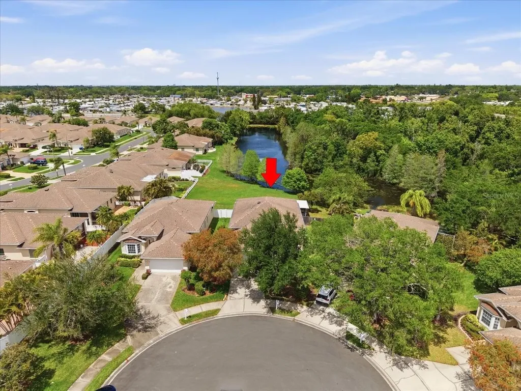1154 Sarah Court Dunedin FL 34698