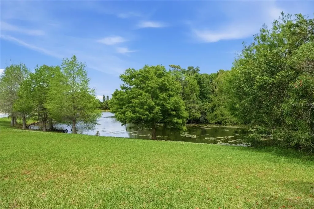1154 Sarah Court Dunedin FL 34698