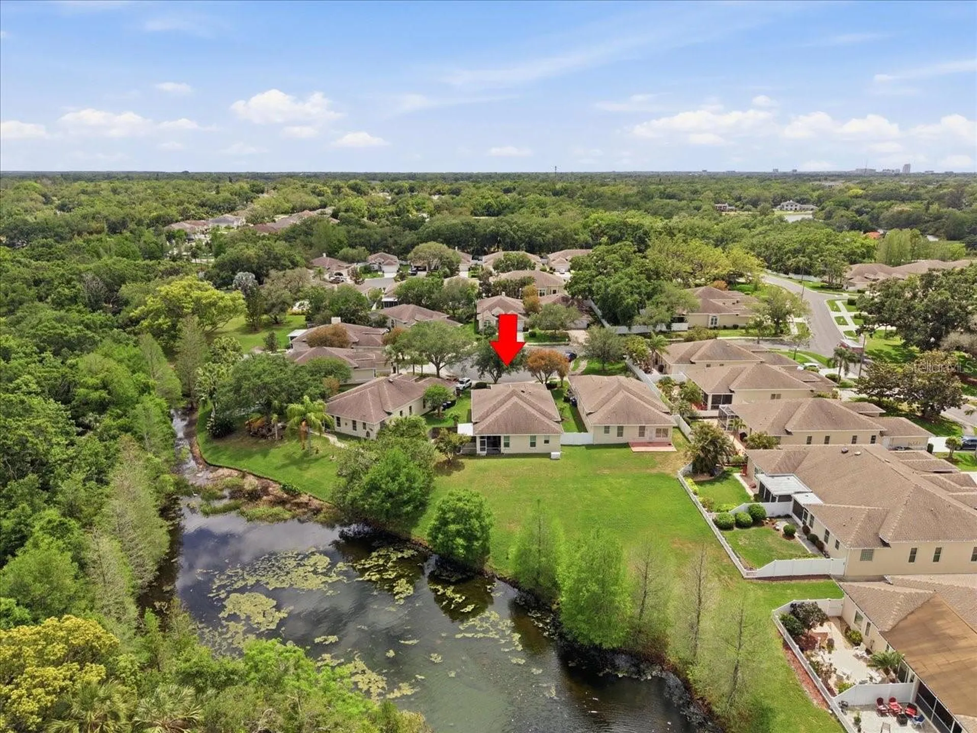 1154 Sarah Court Dunedin FL 34698