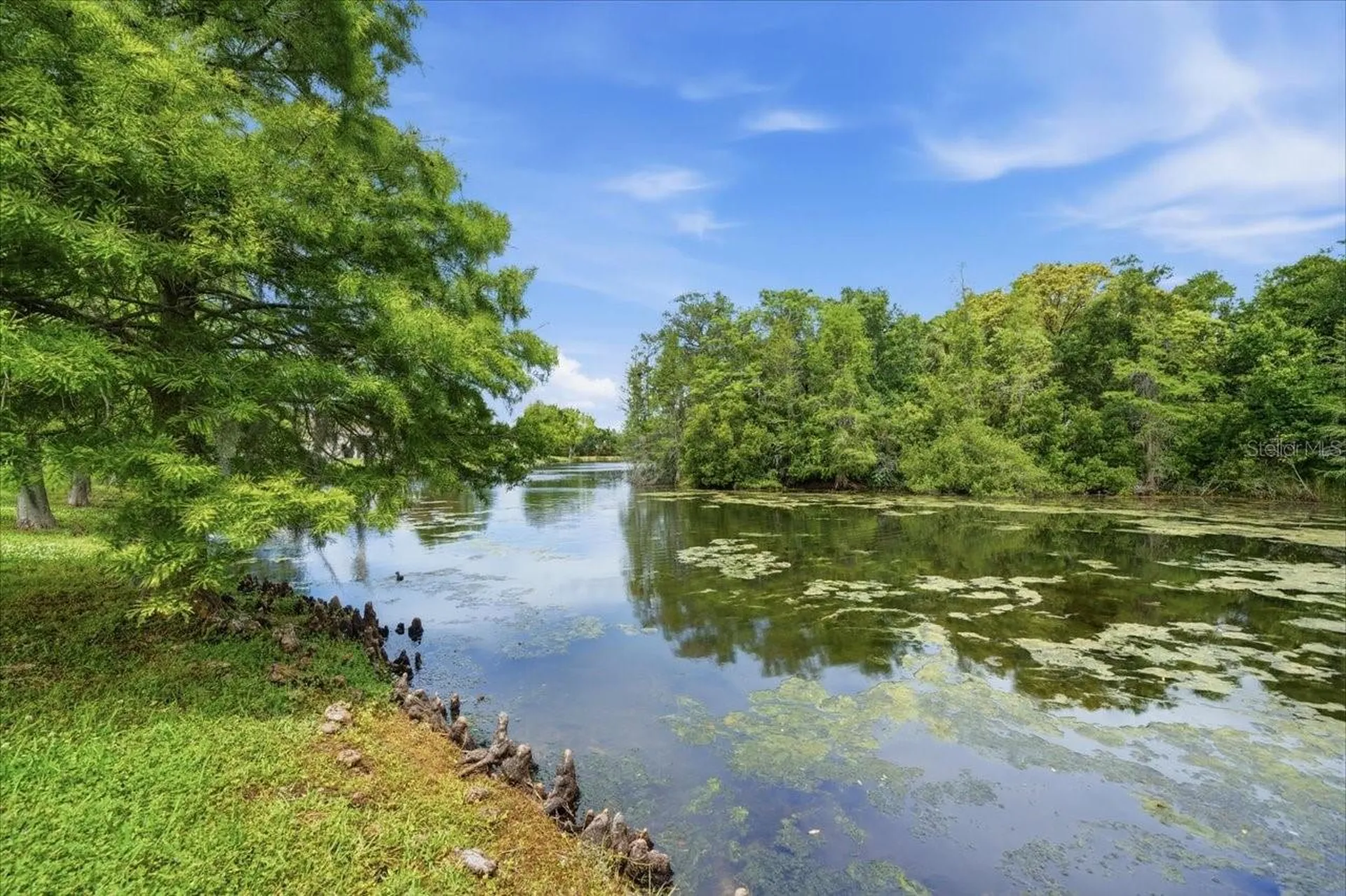 1154 Sarah Court Dunedin FL 34698