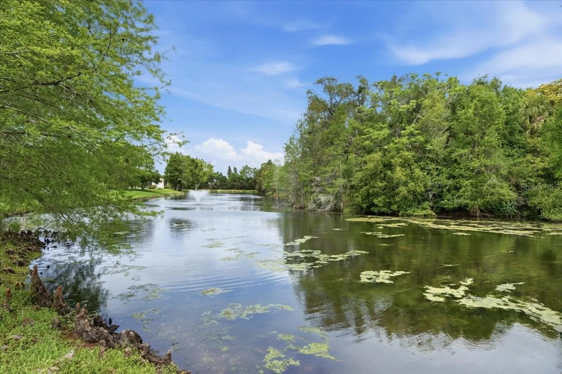 1154 Sarah Court Dunedin FL 34698