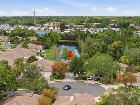1154 Sarah Court Dunedin FL 34698