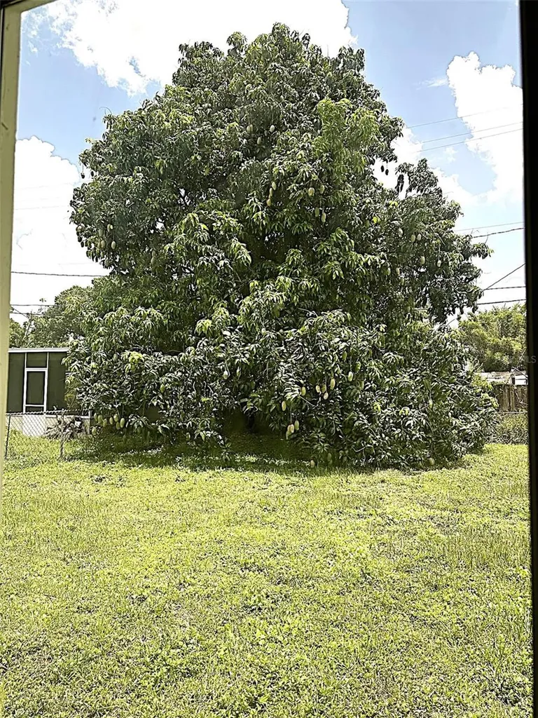 803 Haskell Avenue Orlando FL 32807