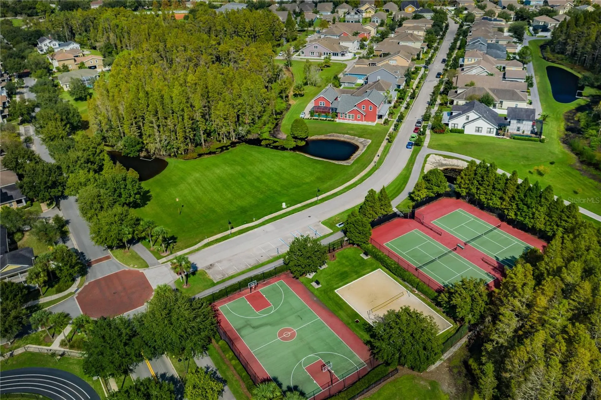 3537 Pickerell Place New Port Richey FL 34655