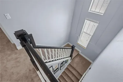 3537 Pickerell Place New Port Richey FL 34655