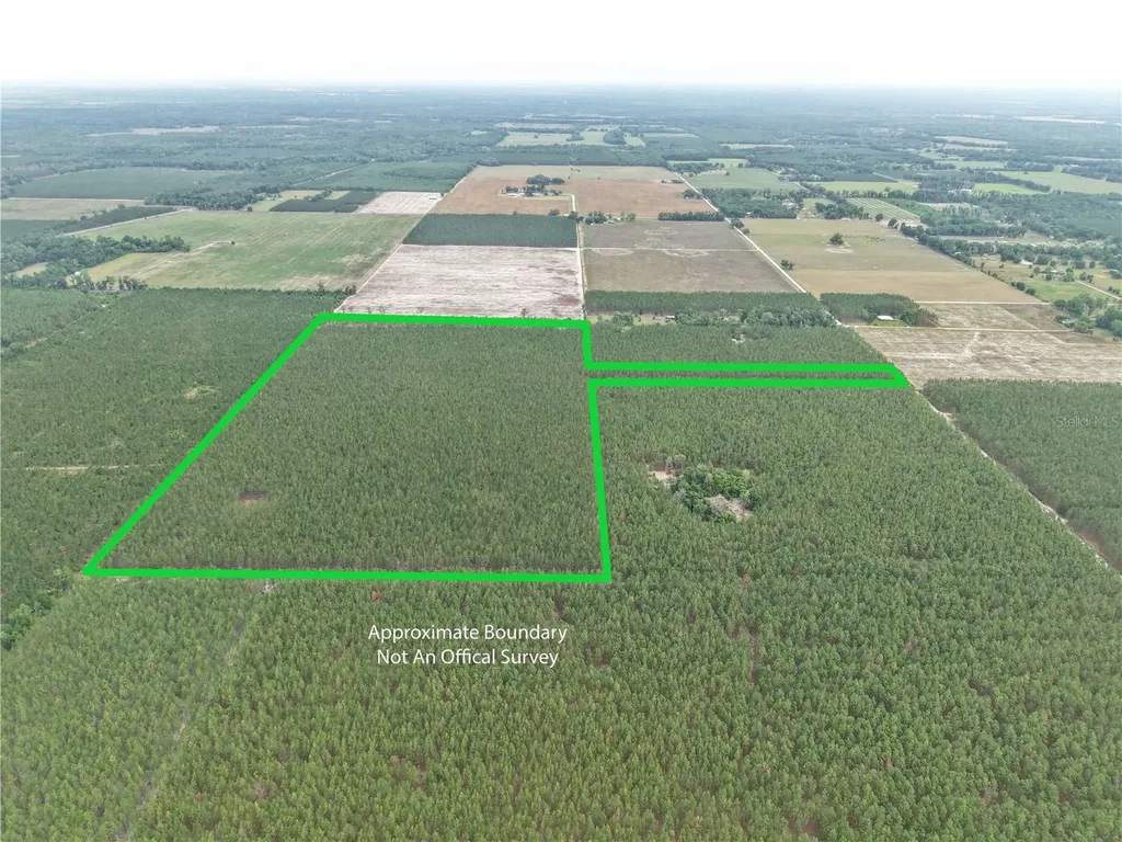 Tbd SE Pearl Fletcher Road Branford FL 32008