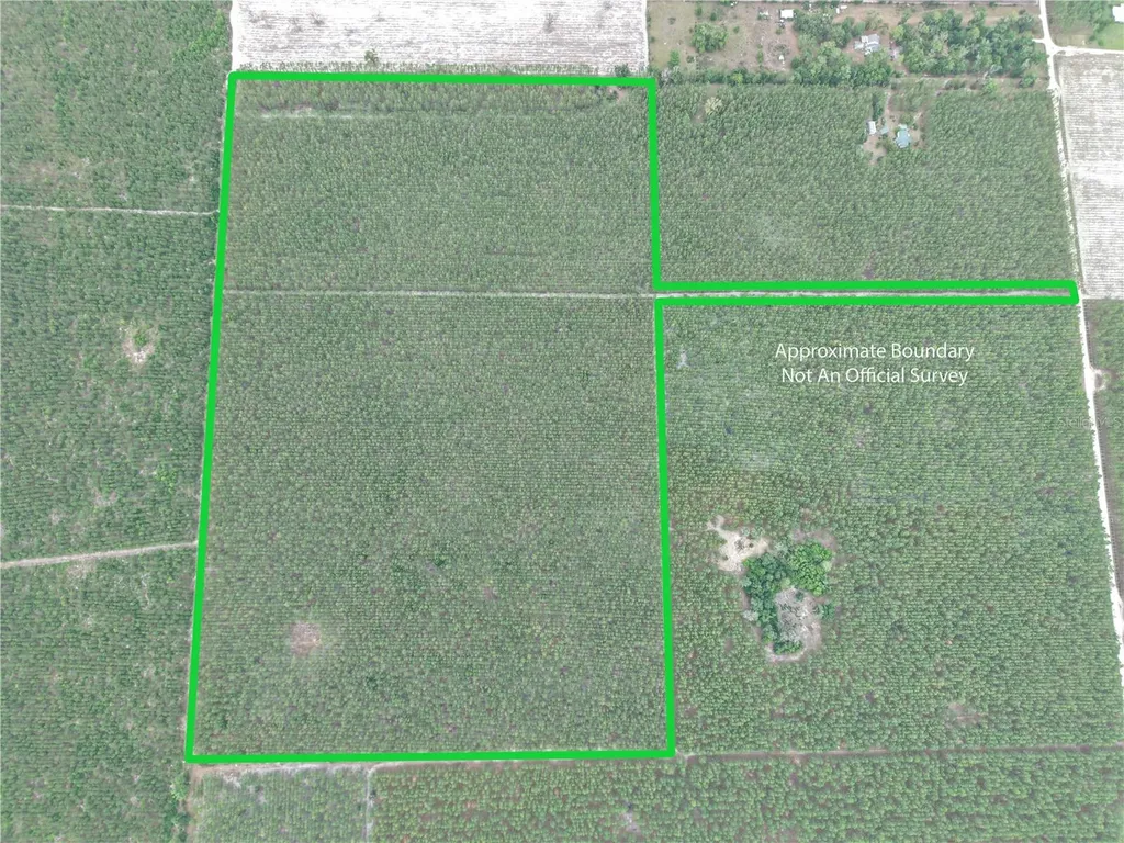 Tbd SE Pearl Fletcher Road Branford FL 32008