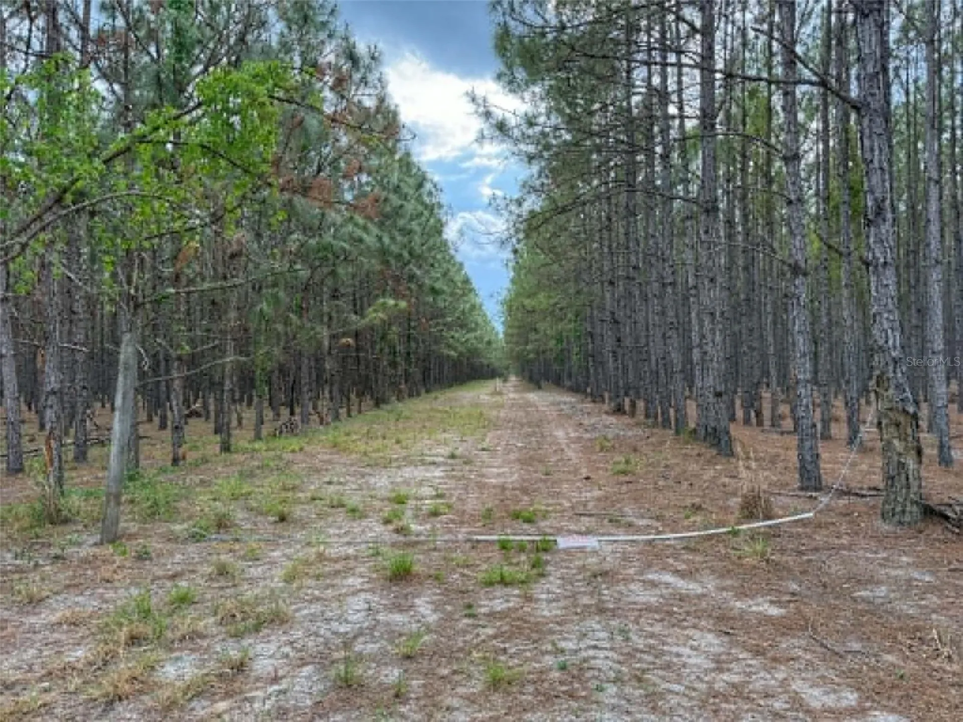 Tbd SE Pearl Fletcher Road Branford FL 32008