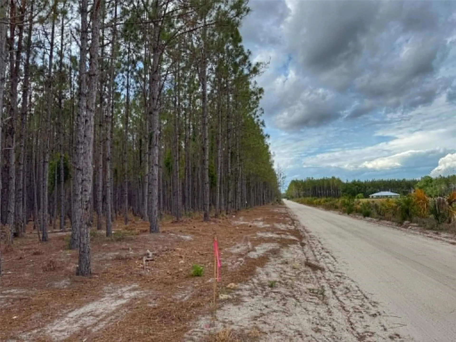 Tbd SE Pearl Fletcher Road Branford FL 32008
