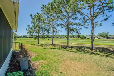 29324 Coharie Loop San Antonio FL 33576