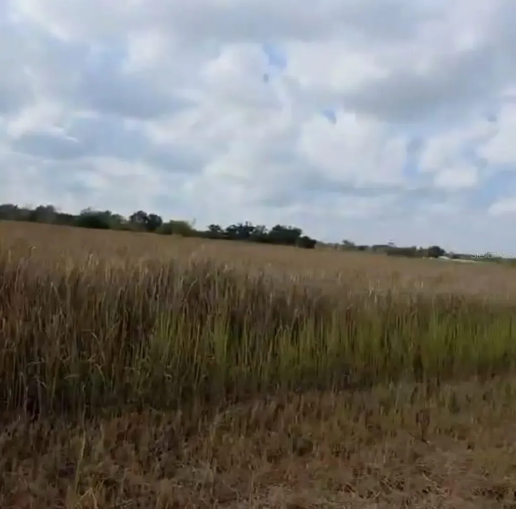 Metheny Rd, Parcel C Wauchula FL 33873