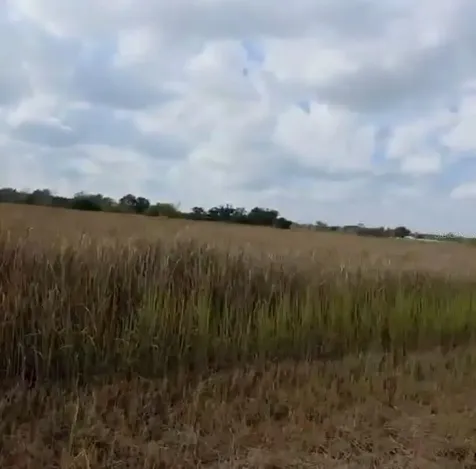 Metheny Rd, Parcel C Wauchula FL 33873