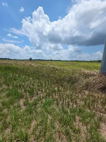 Metheny Rd, Parcel C Wauchula FL 33873