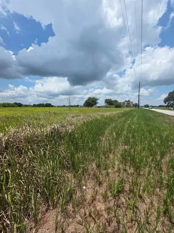 Metheny Rd, Parcel C Wauchula FL 33873