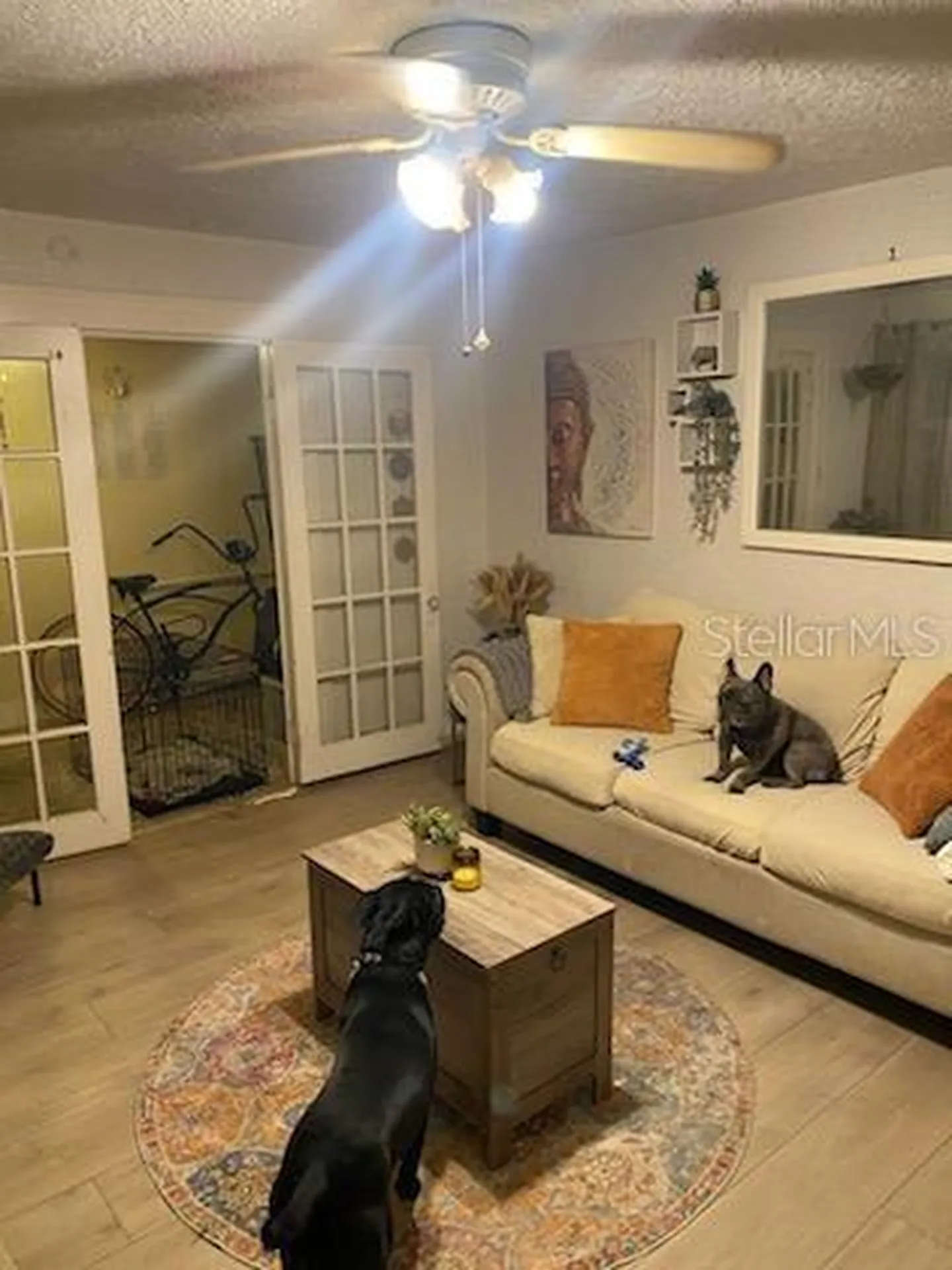 1204 38th Avenue N St Petersburg FL 33704