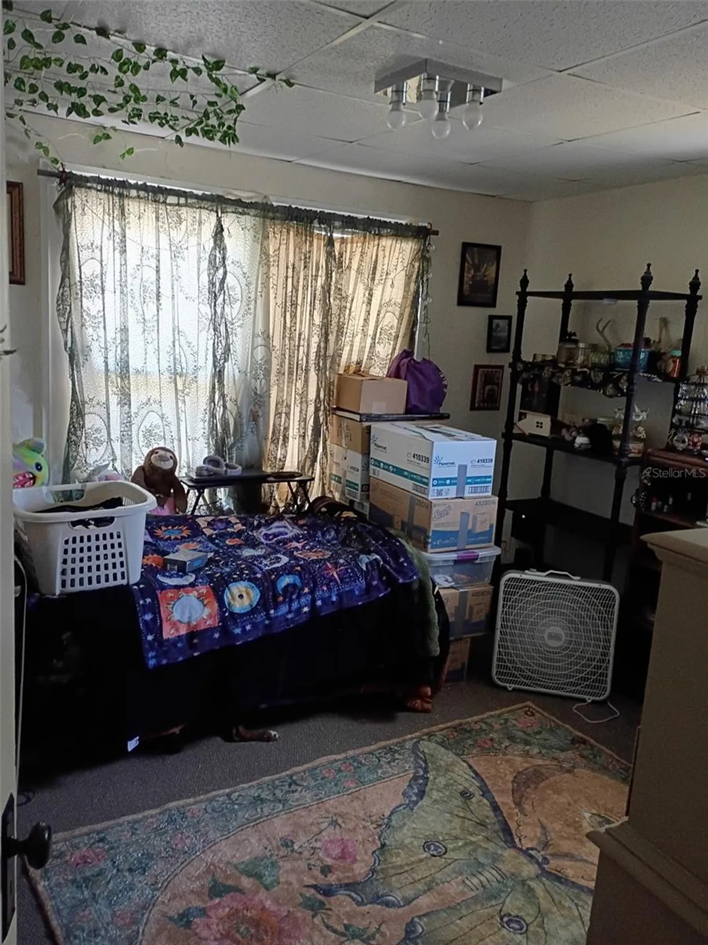 1204 38th Avenue N St Petersburg FL 33704