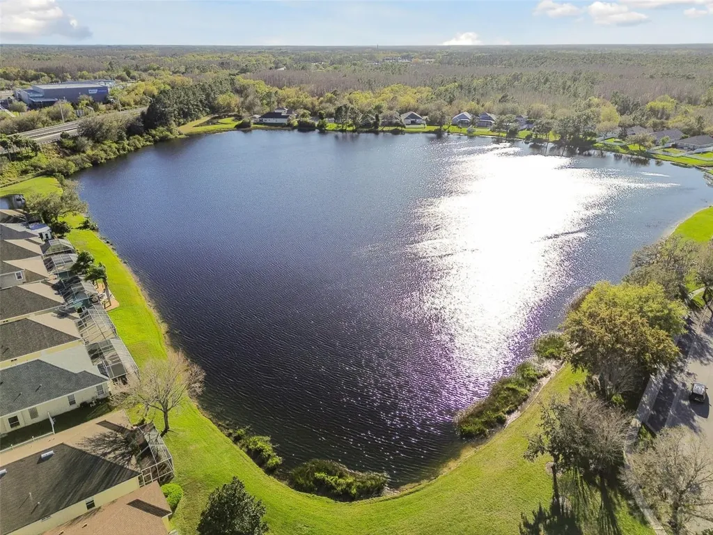 18034 Lake Reflections Boulevard Lutz FL 33558