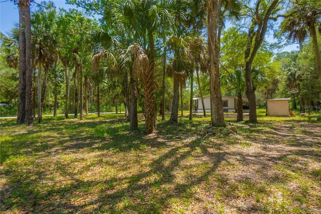 6550 SE Debra Avenue Inglis FL 34449