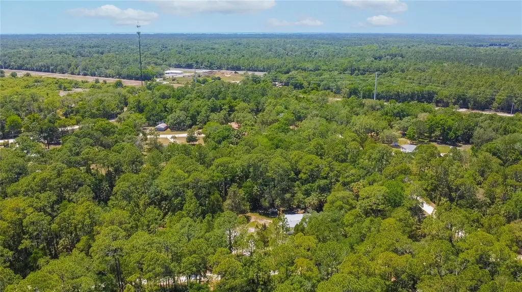 6550 SE Debra Avenue Inglis FL 34449