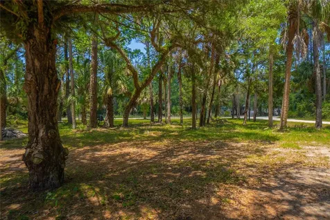 6550 SE Debra Avenue Inglis FL 34449