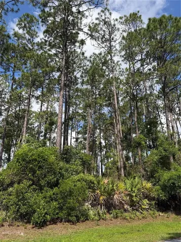 3 Largo Place Palm Coast FL 32137