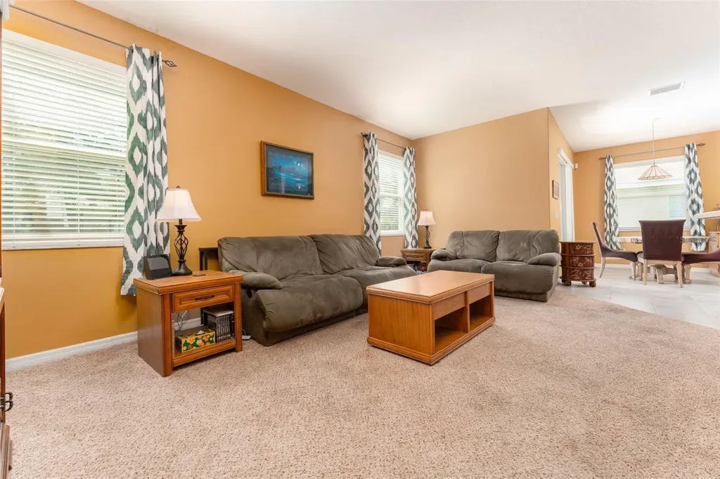 6302 Bridgevista Drive Lithia FL 33547