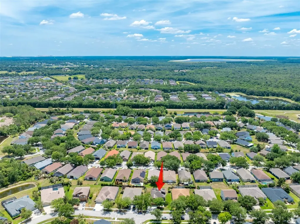 6302 Bridgevista Drive Lithia FL 33547