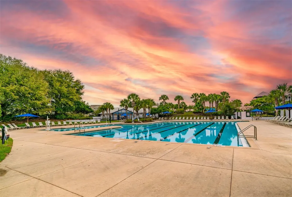 6302 Bridgevista Drive Lithia FL 33547