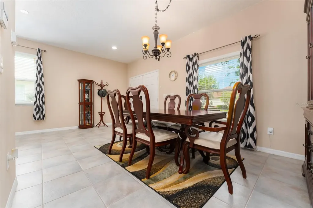 6302 Bridgevista Drive Lithia FL 33547