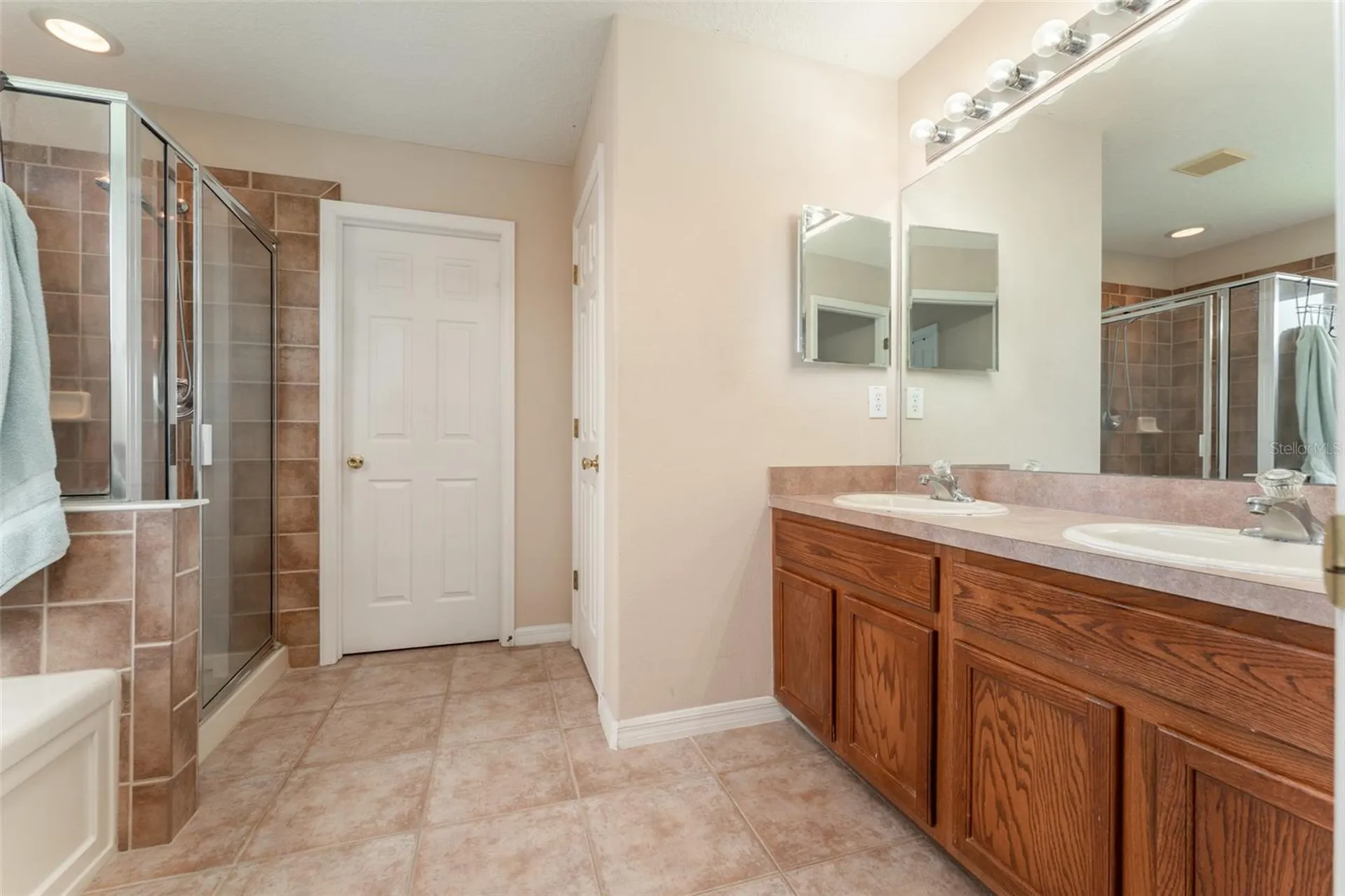 6302 Bridgevista Drive Lithia FL 33547