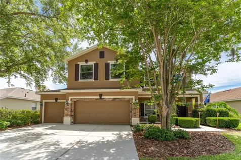6302 Bridgevista Drive Lithia FL 33547